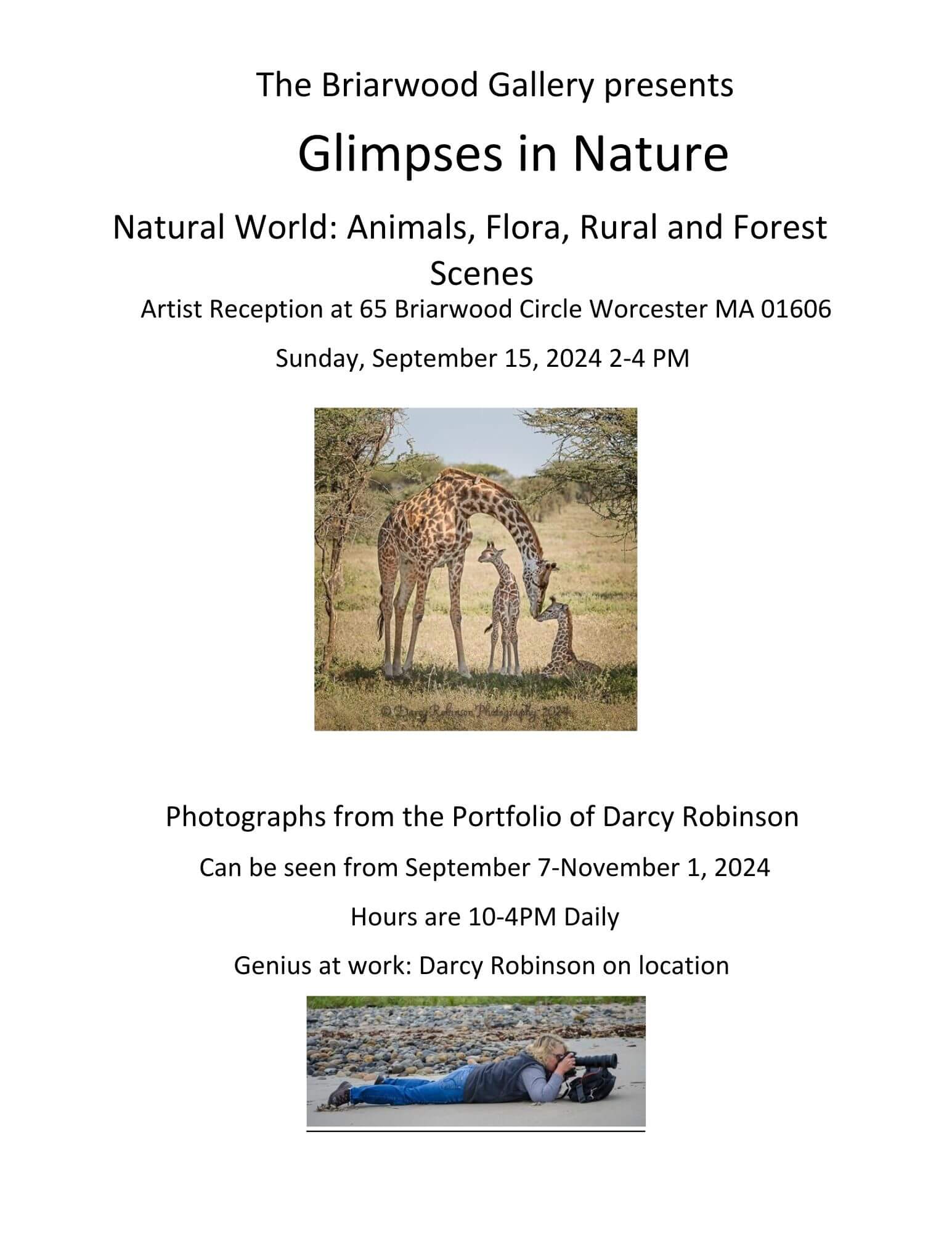 glimpses in nature gallery flyer